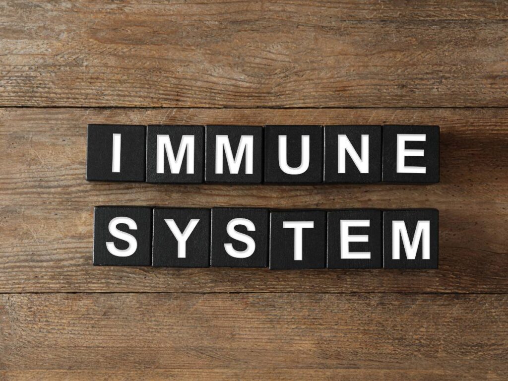 Immune System Support