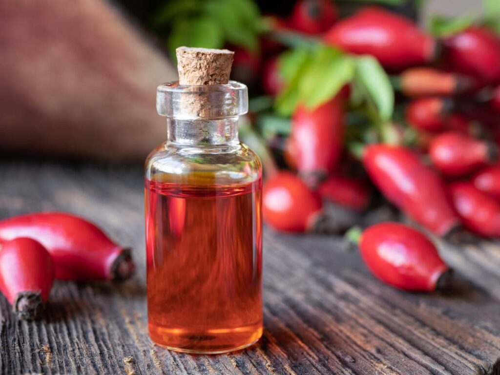 Rosehip-Seed-Oil-Oil-for-Frizzy-Hair