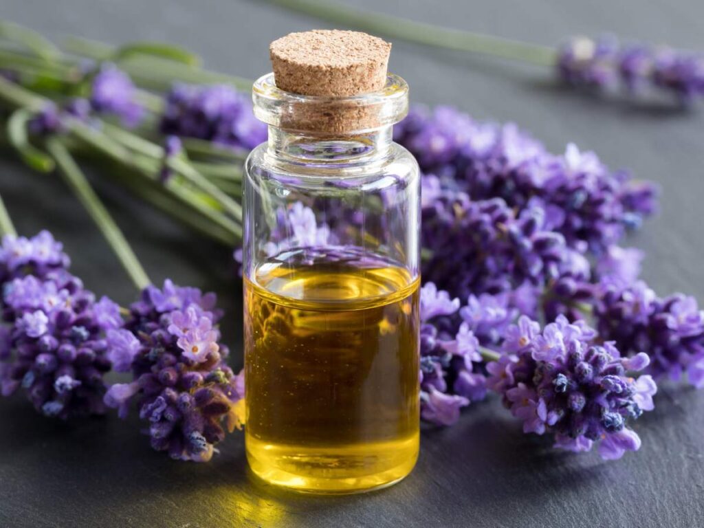 lavender-oil-for-frizzy-hair