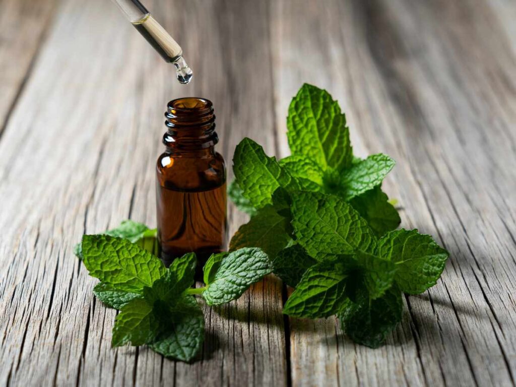 peppermint-oil-for-frizzy-hair