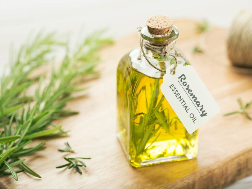 rosemary oil for frizzy hair